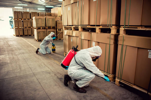 Best Local Pest Control Services  in Trabuco Nyon, CA