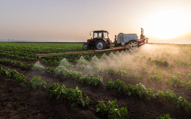 Reliable Trabuco Canyon, CA Pest Control Solutions