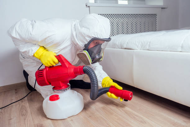 Pest Control for Restaurants in Trabuco Canyon, CA