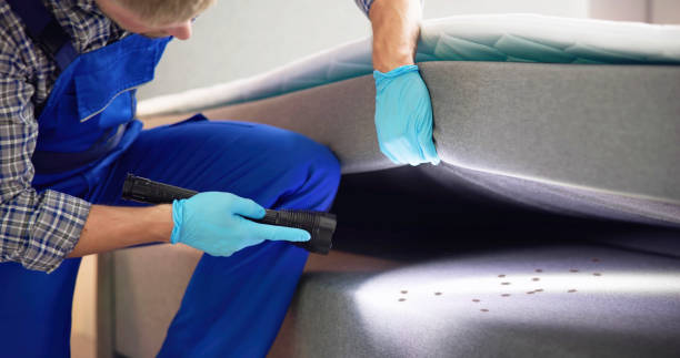 Best Exterminator Services  in Trabuco Nyon, CA