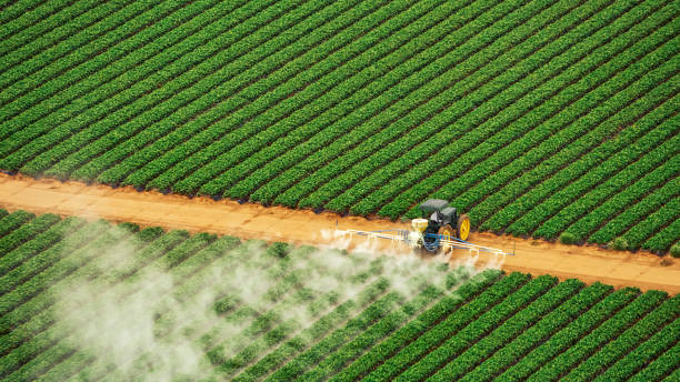 Pest Prevention Services in Trabuco Canyon, CA