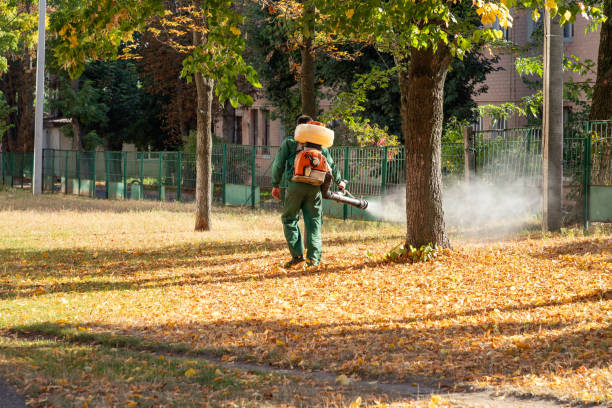 Best Rat Extermination Near Me  in Trabuco Nyon, CA