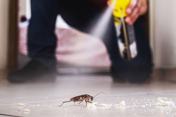 Wildlife Control Services in Trabuco Canyon, CA