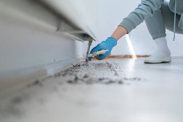 Best Commercial Pest Control Services  in Trabuco Nyon, CA