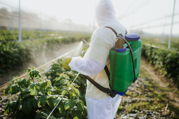 Best Pest Prevention Services  in Trabuco Nyon, CA